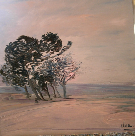 Galerie