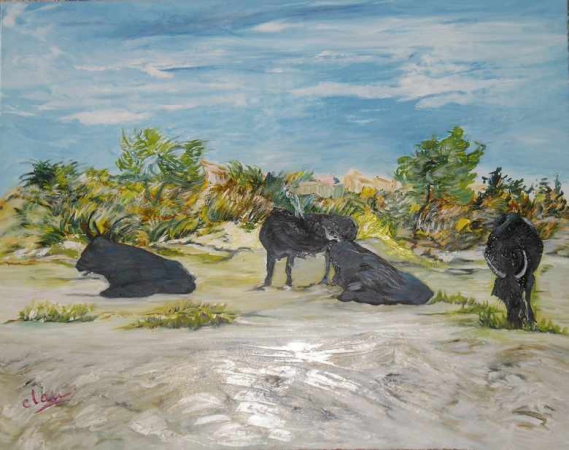Galerie